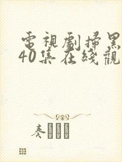 电视剧扫黑风暴40集在线观看免费完整版封面