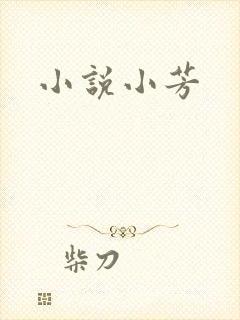 小说小芳封面