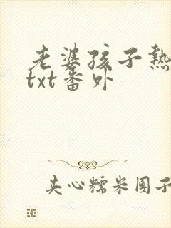 老婆孩子热炕头txt番外