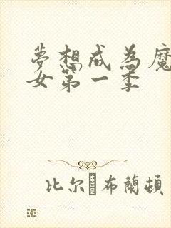 梦想成为魔法少女第一季封面