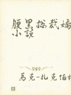 腹黑总裁娇宠妻小说封面