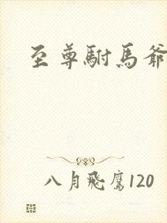 至尊驸马爷短剧封面