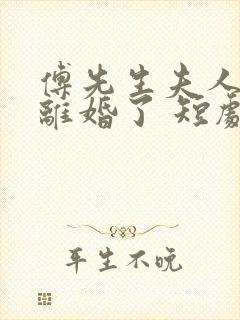 傅先生夫人又闹离婚了 短剧