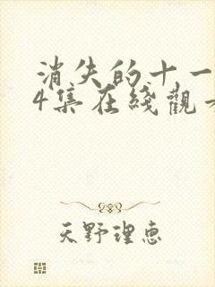 消失的十一层24集在线观看