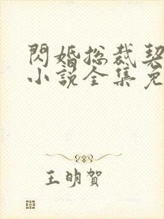 闪婚总裁契约妻小说全集免费阅读