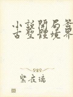 小说开局签到荒古圣体境界封面