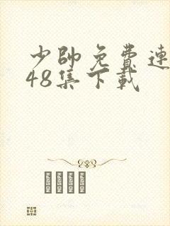 少帅免费连续剧48集下载