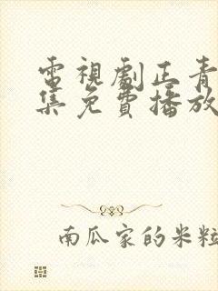 电视剧正青春全集免费播放封面