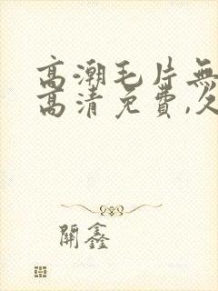 高潮毛片无遮挡高清免费,久久永久免封面