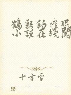 鹤熙的催眠短篇小说在线阅读