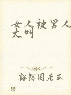 女人被男人操的大叫