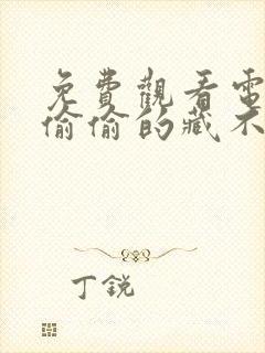 免费观看电视剧偷偷的藏不住