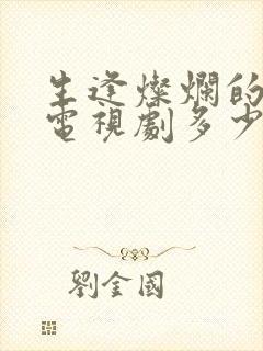 生逢灿烂的日子电视剧多少集封面