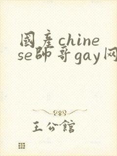 国产chinese帅哥gay网站
