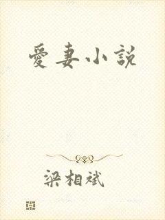 爱妻小说