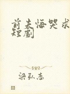 前夫悔哭求原谅短剧