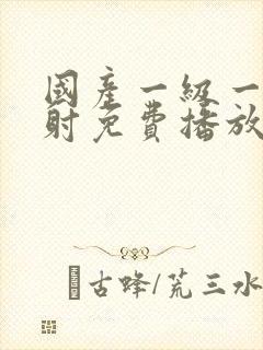 国产一级一片内射免费播放封面