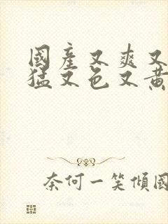 国产又爽又粗又猛又色又黄视频高清