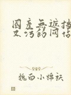 国产无遮挡又爽又污的网站