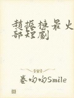 赵振栋最火10部短剧