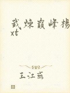 武炼巅峰杨开txt