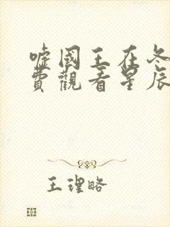 嘘国王在冬眠免费观看星辰影院