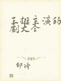 王挺主演的电视剧大全