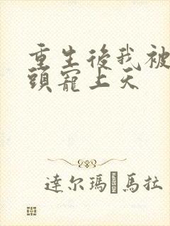 重生后我被死对头宠上天