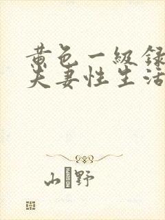 黄色一级录像厅夫妻性生活大片