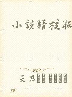小说精校版下载封面