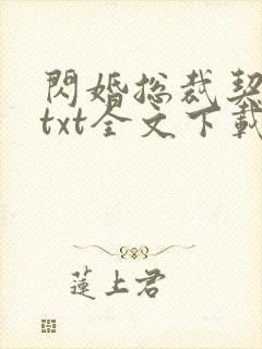 闪婚总裁契约妻txt全文下载