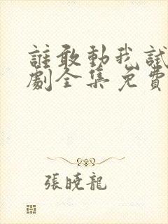 谁敢动我试试短剧全集免费观看