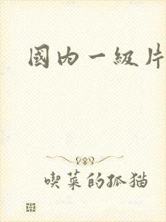 国内一级片内射