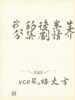 我的后半生剧情分集剧情介绍