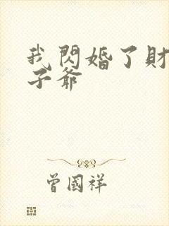 我闪婚了财阀太子爷