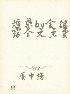 炉鼎by金银花露全文免费阅读笔趣阁