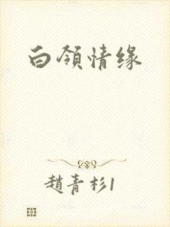 白领情缘封面
