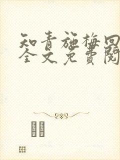 知青施梅回忆录全文免费阅读