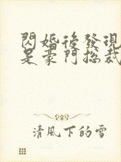 闪婚后发现老公是豪门总裁 全本