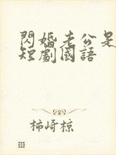 闪婚老公是豪门短剧国语