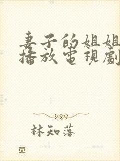 妻子的姐姐在线播放电视剧第二集