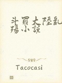 斗罗大陆乱世浮殇小说