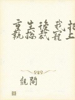 重生后 我把偏执总裁宠上天