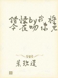 错怪by我将在今夜吻你免费阅读