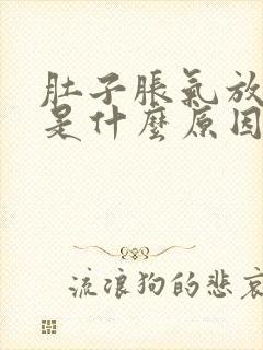 肚子胀气放屁多是什么原因