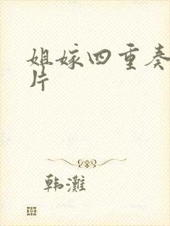 姐嫁四重奏动画片