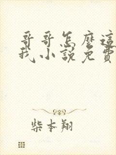 哥哥怎么这样看我小说免费阅读无弹窗