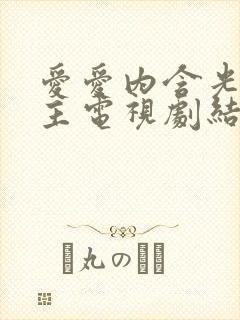 爱爱内含光双男主电视剧结局台剧免费观看