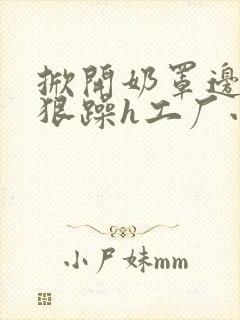 掀开奶罩边躁狠狠躁h工厂小说