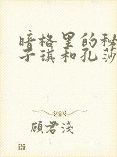 暗格里的秘密宋子琪和孔莎迪